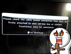  rip off Truevisions สำนวนภาษาอังกฤษ  