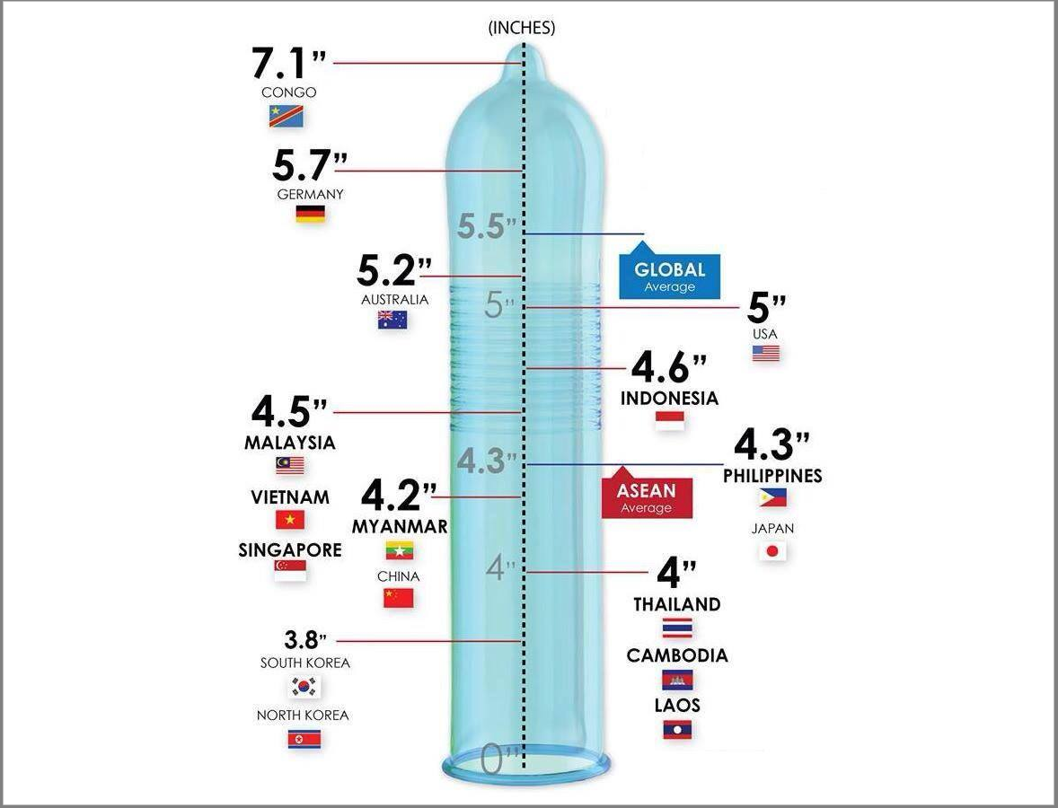 poor you, koreans have the smallese penises in the world  ภาษาอังกฤษ 