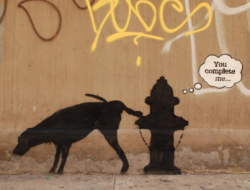  you complete me graffiti สำนวนภาษาอังกฤษ  